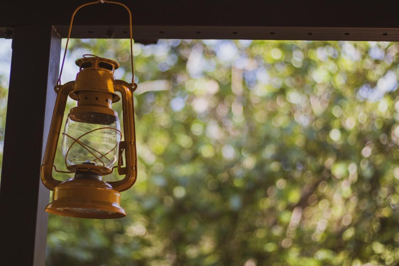 Hello Kruger Hideaway Cottage & Skilpad Studio Marloth Park Ngoại thất bức ảnh