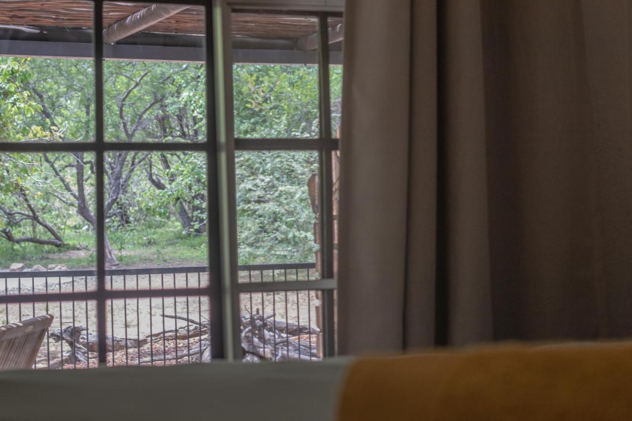 Hello Kruger Hideaway Cottage & Skilpad Studio Marloth Park Ngoại thất bức ảnh