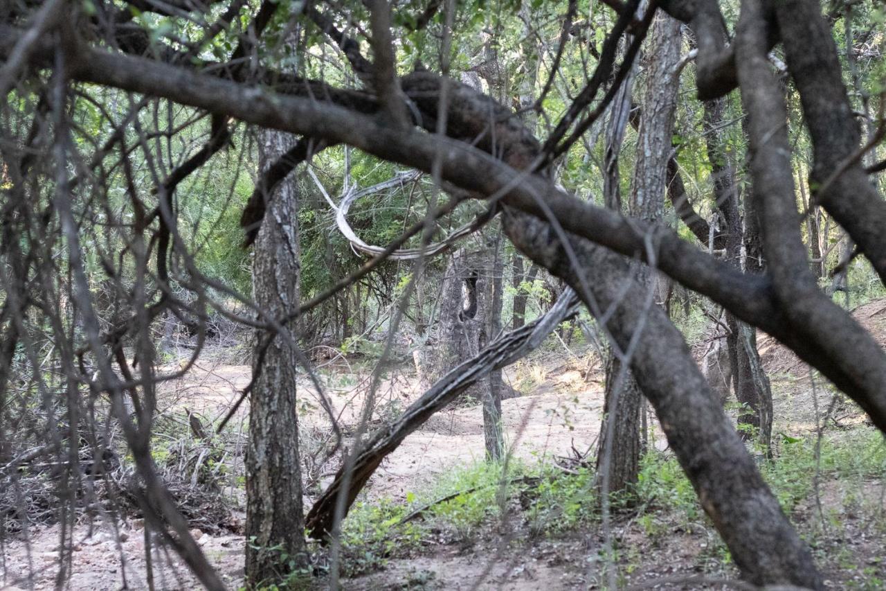 Hello Kruger Hideaway Cottage & Skilpad Studio Marloth Park Ngoại thất bức ảnh