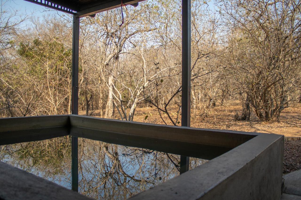 Hello Kruger Hideaway Cottage & Skilpad Studio Marloth Park Ngoại thất bức ảnh
