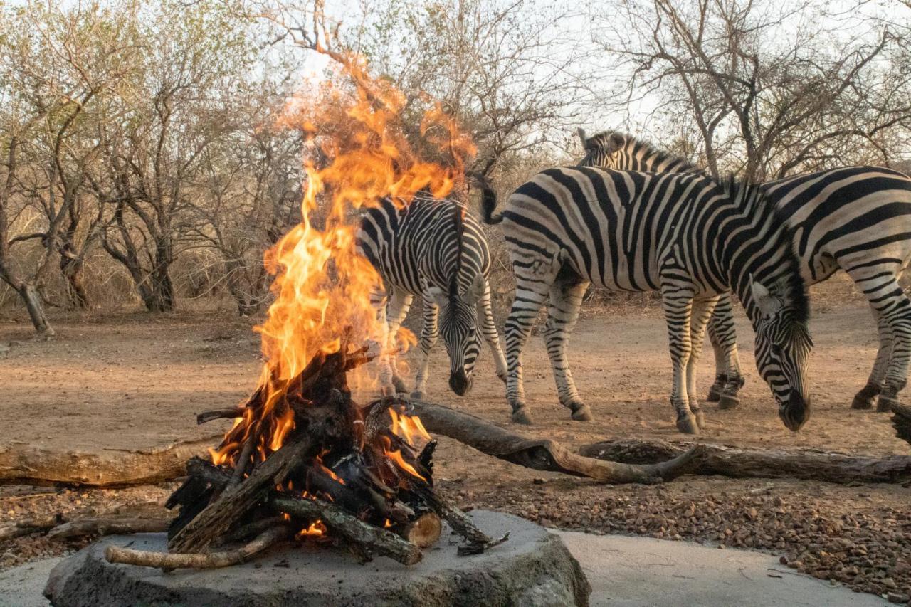 Hello Kruger Hideaway Cottage & Skilpad Studio Marloth Park Ngoại thất bức ảnh